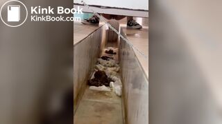 Beautiful women pooping in the toilet 15