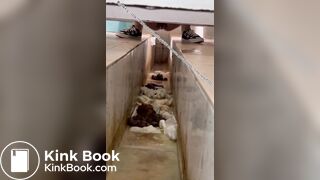 Beautiful women pooping in the toilet 15