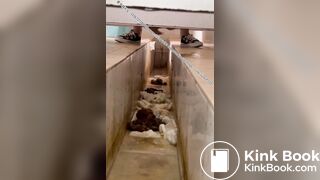 Beautiful women pooping in the toilet 15