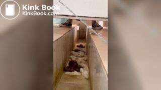 Beautiful women pooping in the toilet 15