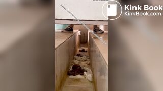 Beautiful women pooping in the toilet 15