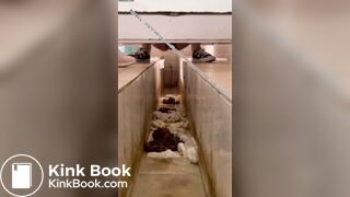 Beautiful women pooping in the toilet 15