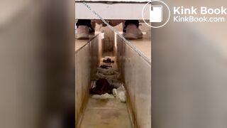 Beautiful women pooping in the toilet 15