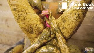 COWzy Corner - cowshit shower