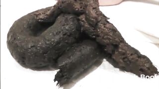 pooping - video 734