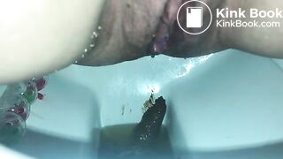 A decent toilet poo..