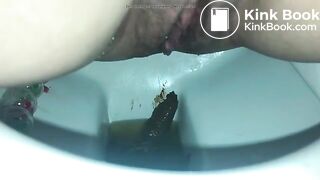 A decent toilet poo..