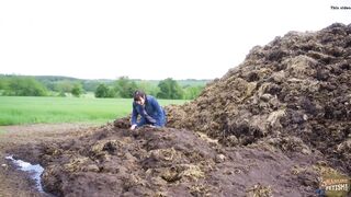 Massive dung pile - lots of cowshit