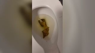 Morning poop - video 118