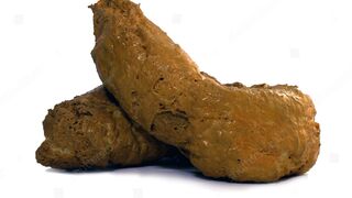 Pooping collection - video 12