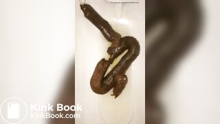 恋人 の うんち 十四