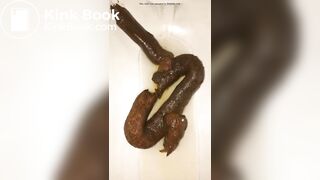 恋人 の うんち 十四