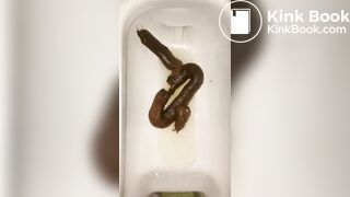 恋人 の うんち 十四