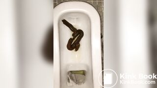 恋人 の うんち 十四