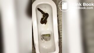 恋人 の うんち 十四