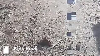 Outdoor poo in the sand..