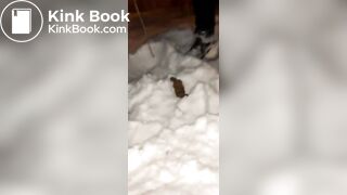 Poopsicle and Nuggets