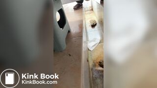 Chinese Trench part 2 - Hard shit on Diarrhea