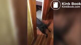 girl poop with no toiletpaper