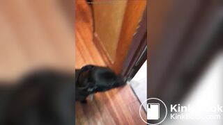 girl poop with no toiletpaper