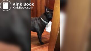 girl poop with no toiletpaper