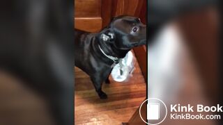 girl poop with no toiletpaper