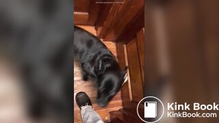 girl poop with no toiletpaper