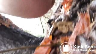 Brown Snake in Autumn