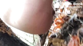 Brown Snake in Autumn