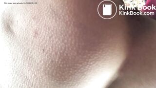 Brown Snake in Autumn