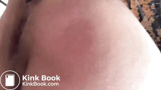 Brown Snake in Autumn