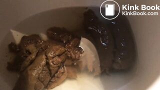 A toilet clogging load of poo..