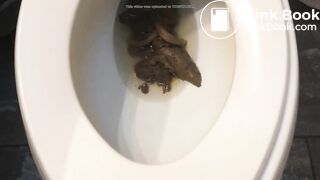 A toilet clogging load of poo..