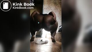 African scat - video 5