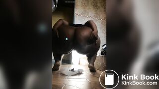 African scat - video 5