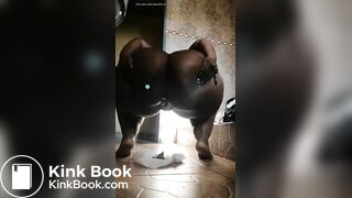 African scat - video 5