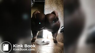 African scat - video 5