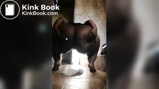 African scat - video 5