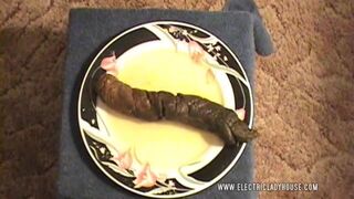 A poo log on a plate..