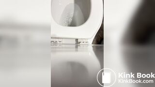 Toilet poop - video 193