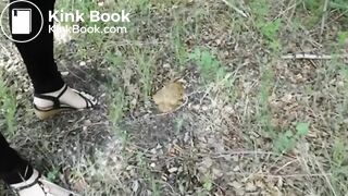 Scat.. in the woods..