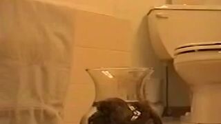 A poo in a water bowl..