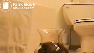A poo in a water bowl..