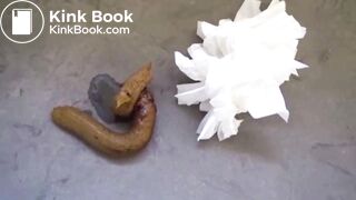 Asian mega turd on bathroom floor