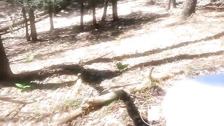 A poo in the middle of the woods..