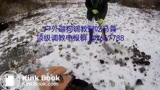 Iced cattle turds