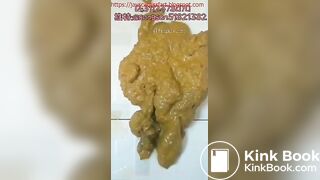 Chinese Lady Poop Voyeur - video 15