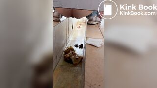 Chinese voyeur wet shit with gas in ditch