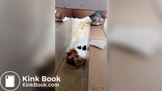 Chinese voyeur wet shit with gas in ditch