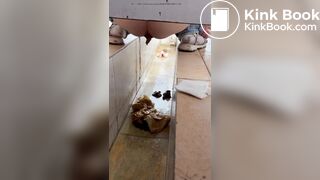 Chinese voyeur wet shit with gas in ditch